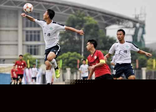 热刺vs小蜜蜂首发：库杜斯、里沙利松领衔！帕利尼亚替补